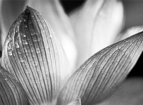 防封号外呼软件